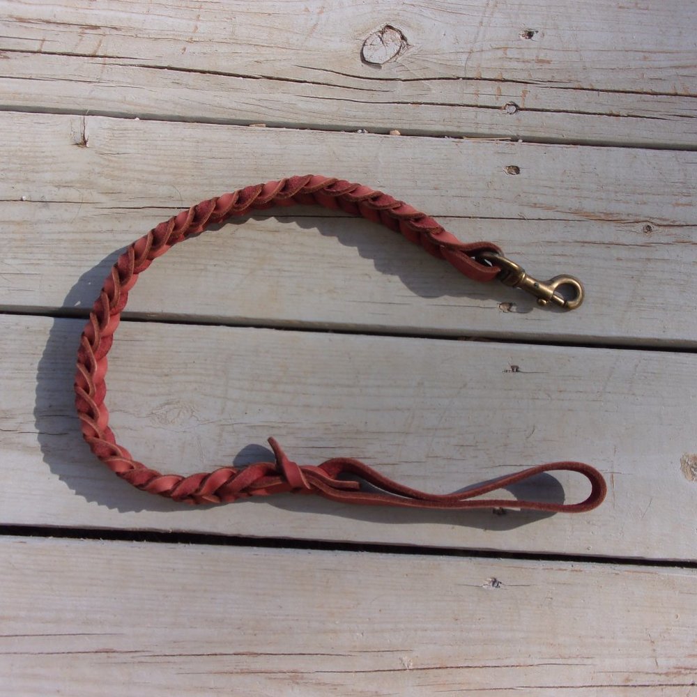 Ray Allen Deluxe Full-Braided Leather Dog Leash